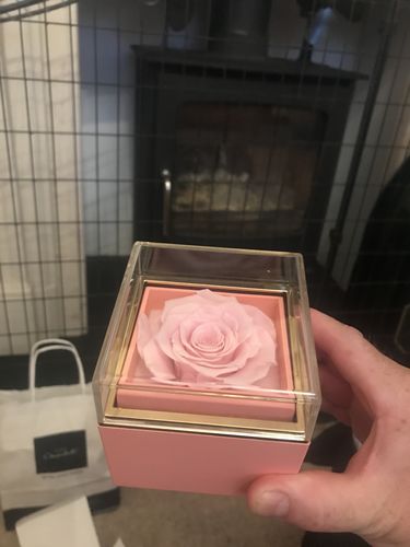 Customer photo review of Eternal Rose Box - W/ Engraved Necklace & Real Rose.