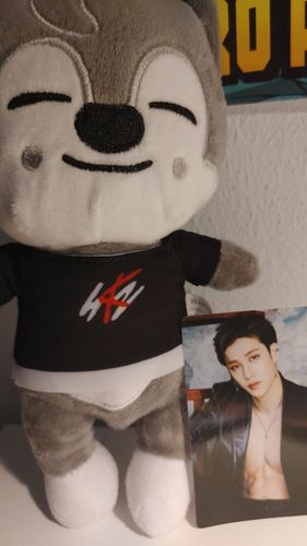 Customer photo review of Stray Kids SKZOO Plushie