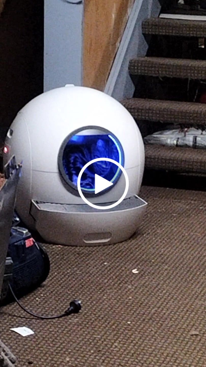 Customer video review of PaWz Automatic Smart Cat Litter Box