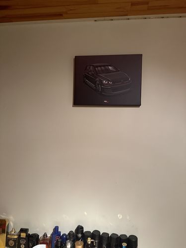 Customer photo review of Canvas