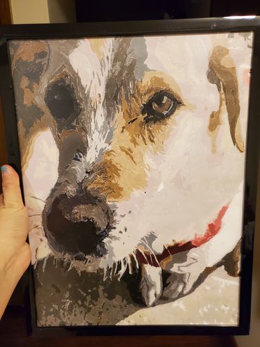 Customer photo review of Custom Paint By Numbers Kit - Upload Your Photo - Brush Set Included