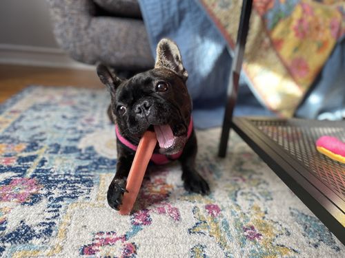 Customer photo review of STRAWBERRY LARGE CHEW (ONE SIZE)