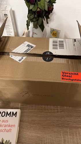 Customer photo review of RIFFLE GLASS SHORT | PARIS