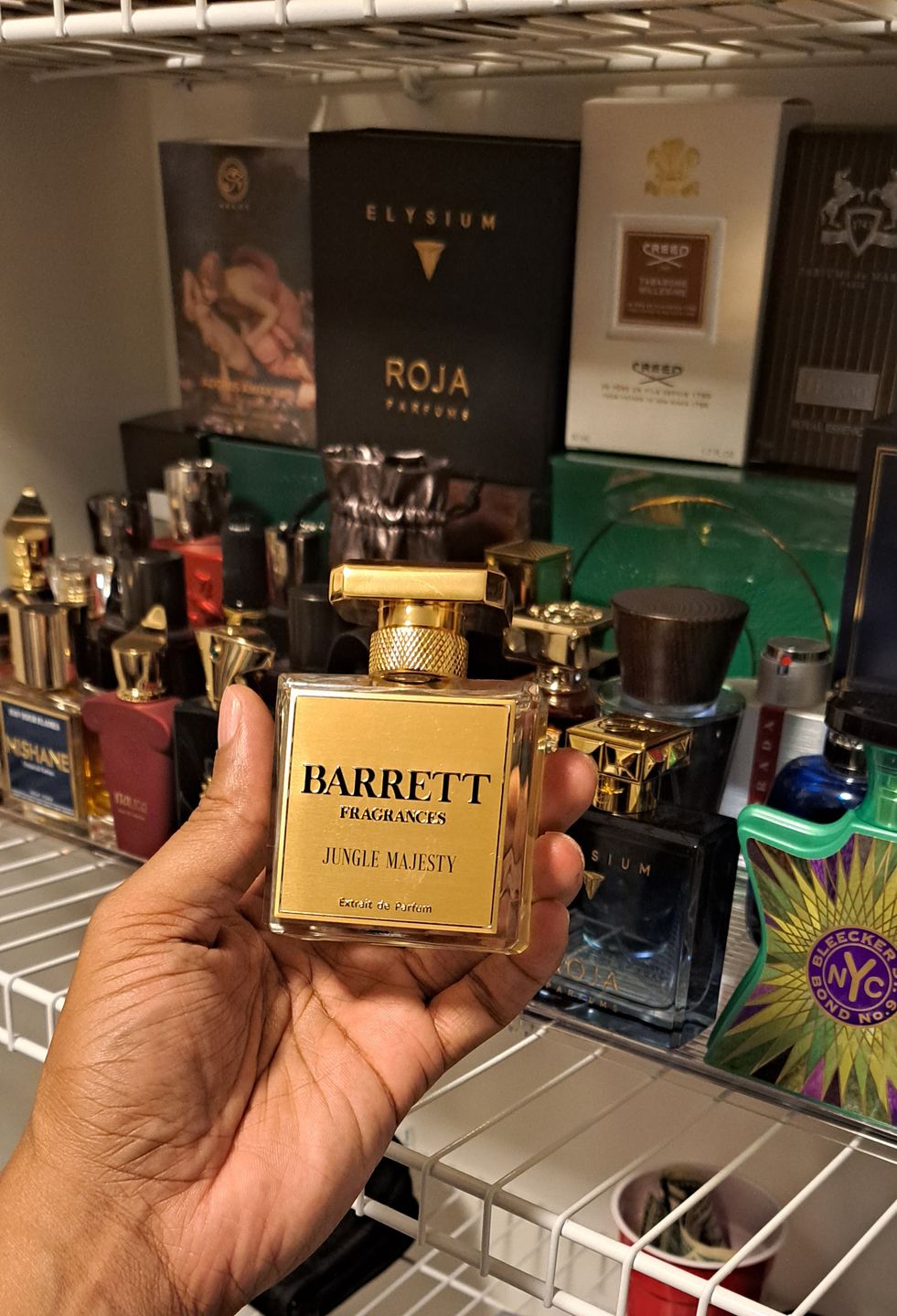 Customer photo review of Jungle Majesty inspired by Tygar