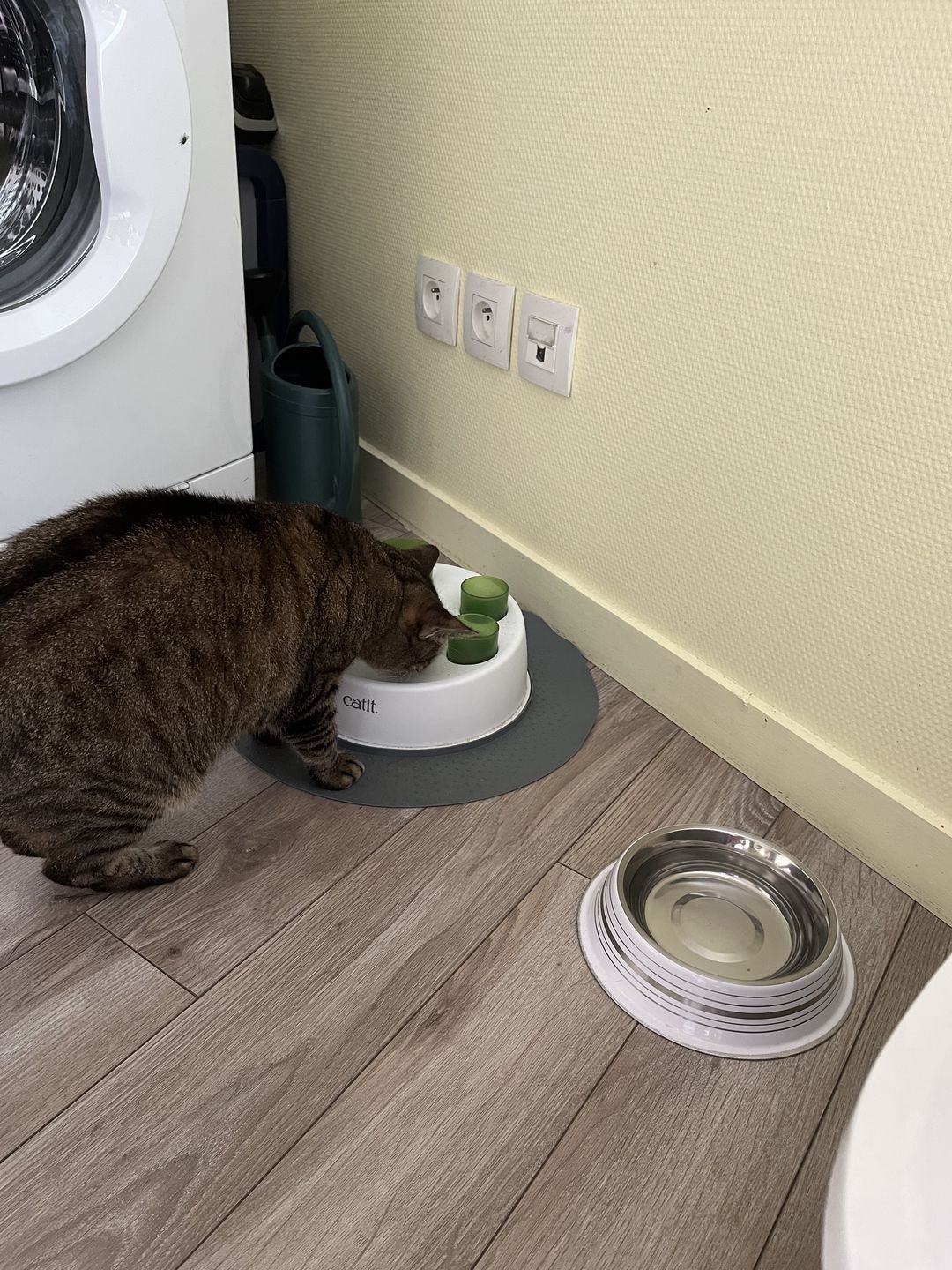 Customer photo review of Croquettes riches en poissons blancs frais (chat stérilisé)