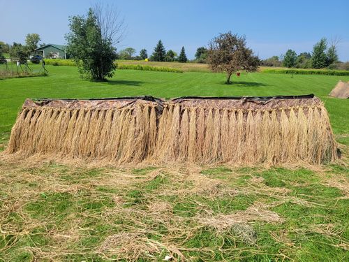 Customer photo review of Hunting Blind Raffia Grass (Pack)