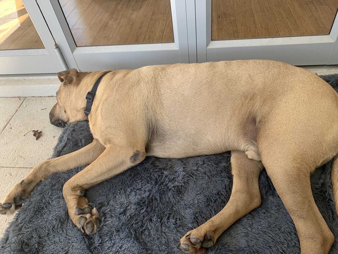 Customer photo review of Brooklyn® Ultra Memory Foam Bed