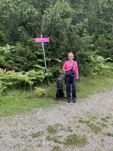 Customer photo review of Visibility Treat Bag Dark for Dog Owners