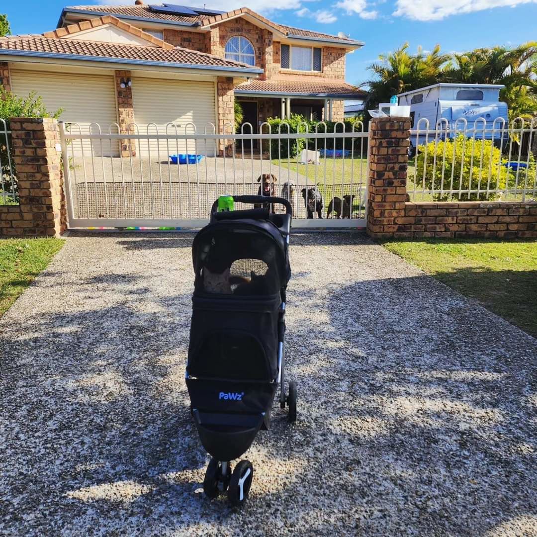Customer photo review of PaWz Large Pet Stroller Dog Cat Carrier