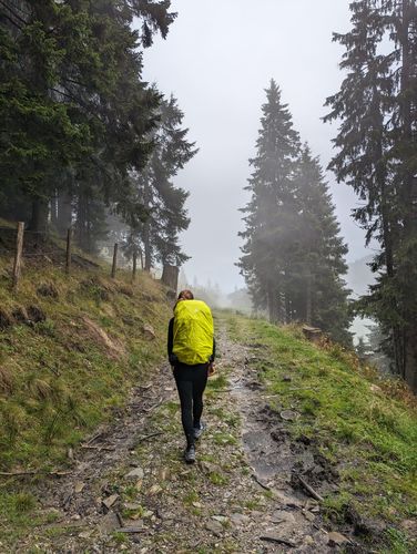 Customer photo review of Faloria Eco