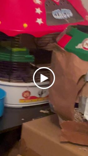 Customer video review of Niteangel Wooden Hamster Exercise Wheel:- Silent Hamster Running Wheel for Hamsters Gerbil Mice and Other Similar-Sized Small Pets