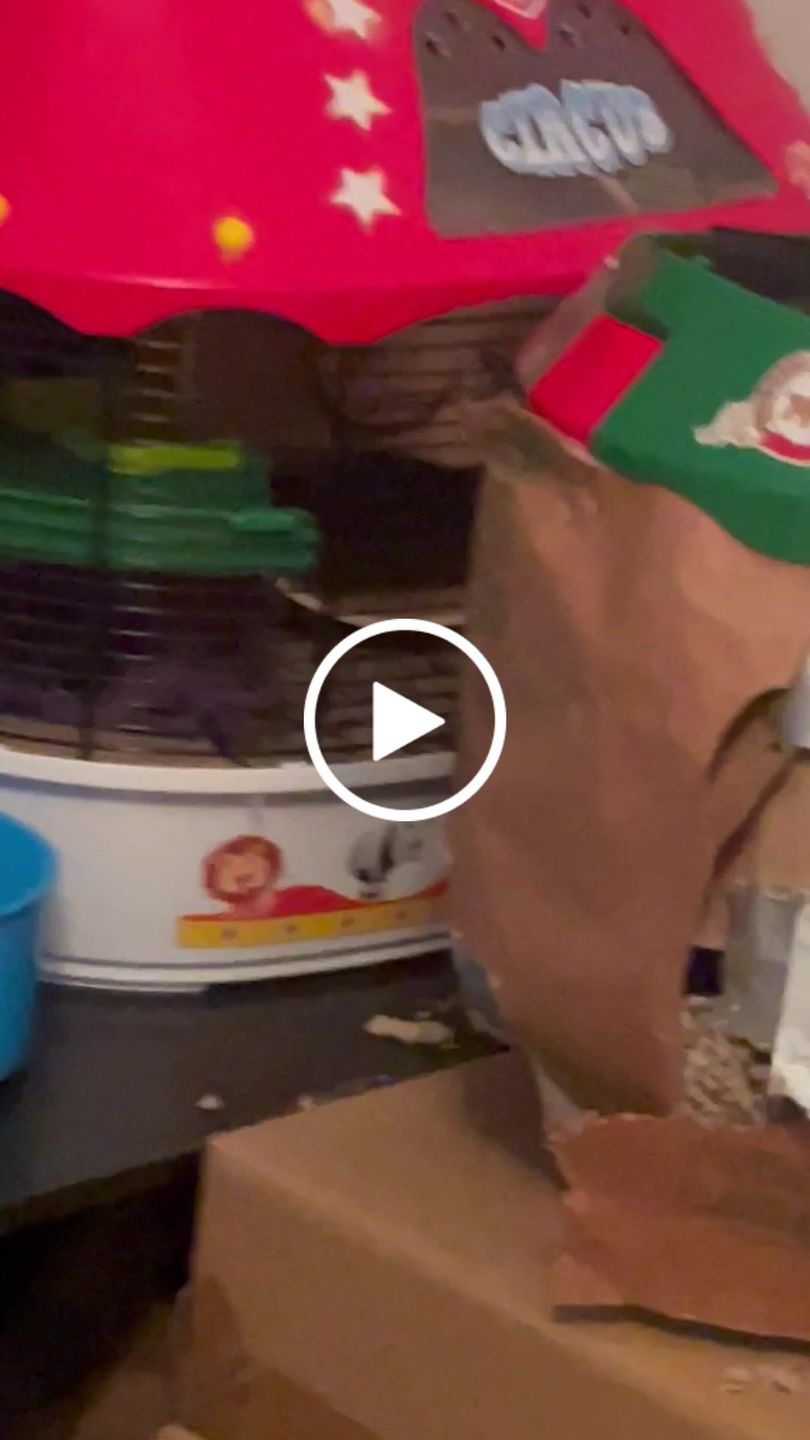 Customer video review of Niteangel Wooden Hamster Exercise Wheel:- Silent Hamster Running Wheel for Hamsters Gerbil Mice and Other Similar-Sized Small Pets