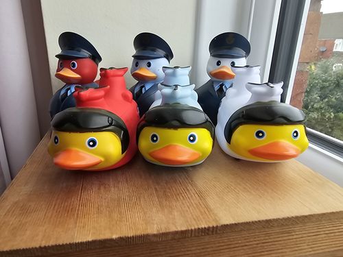 Mark review of Chinook Duck - Red image 1 out of 1