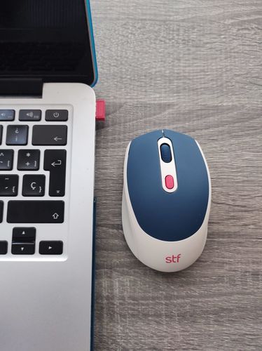 Customer photo review of Mouse inalámbrico óptico | STF VIVA! | para computadora June Azul
