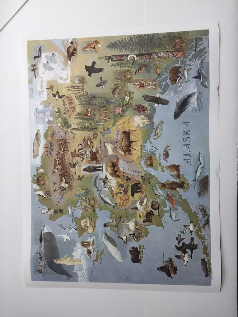 Customer photo review of Old Map of Alaska by WD Berry, 1967 - Eskimos, Inuits & Animals - Anchorage, Yukon, Denali/McKinley