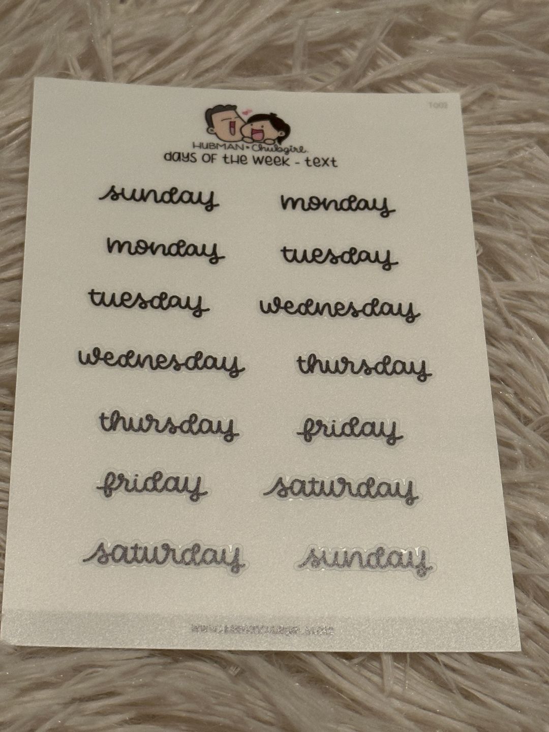 Customer photo review of Days of the Week Text Planner Stickers - Script