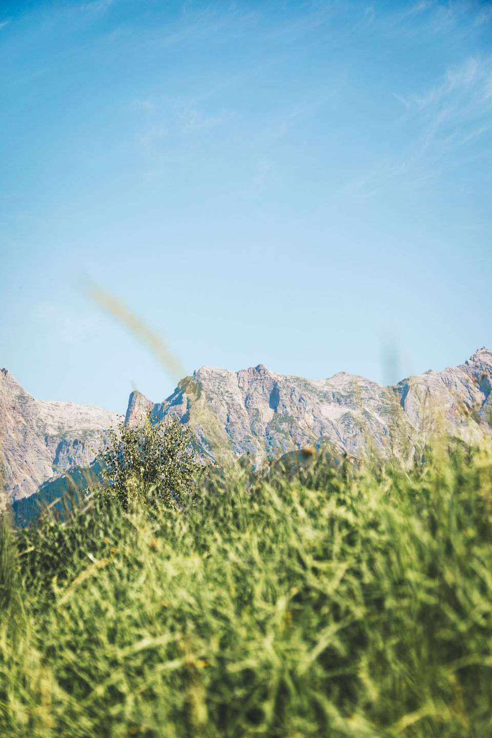 Customer photo review of NATURE LIGHTROOM PRESETS