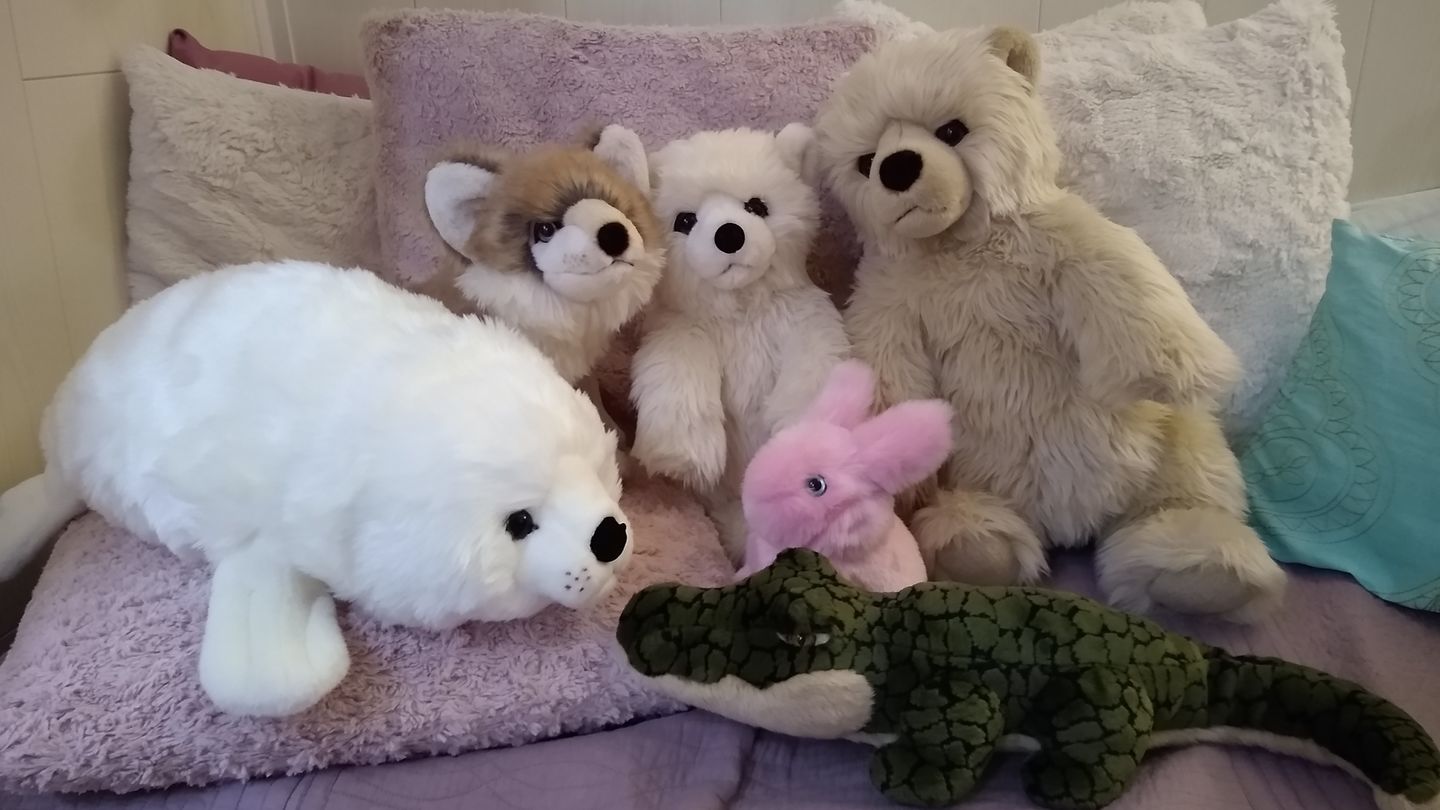 Customer photo review of Ma peluche Phoque Arsène