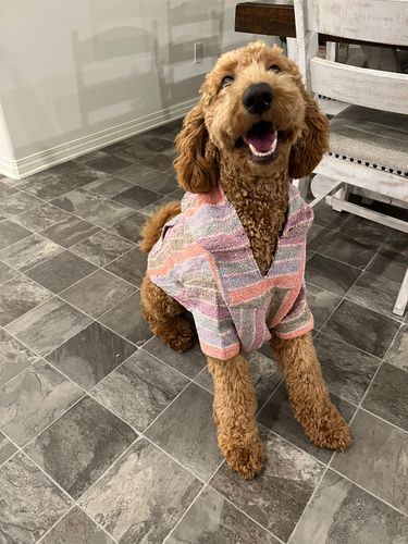 Customer photo review of Playa Poncho - Surprise Color