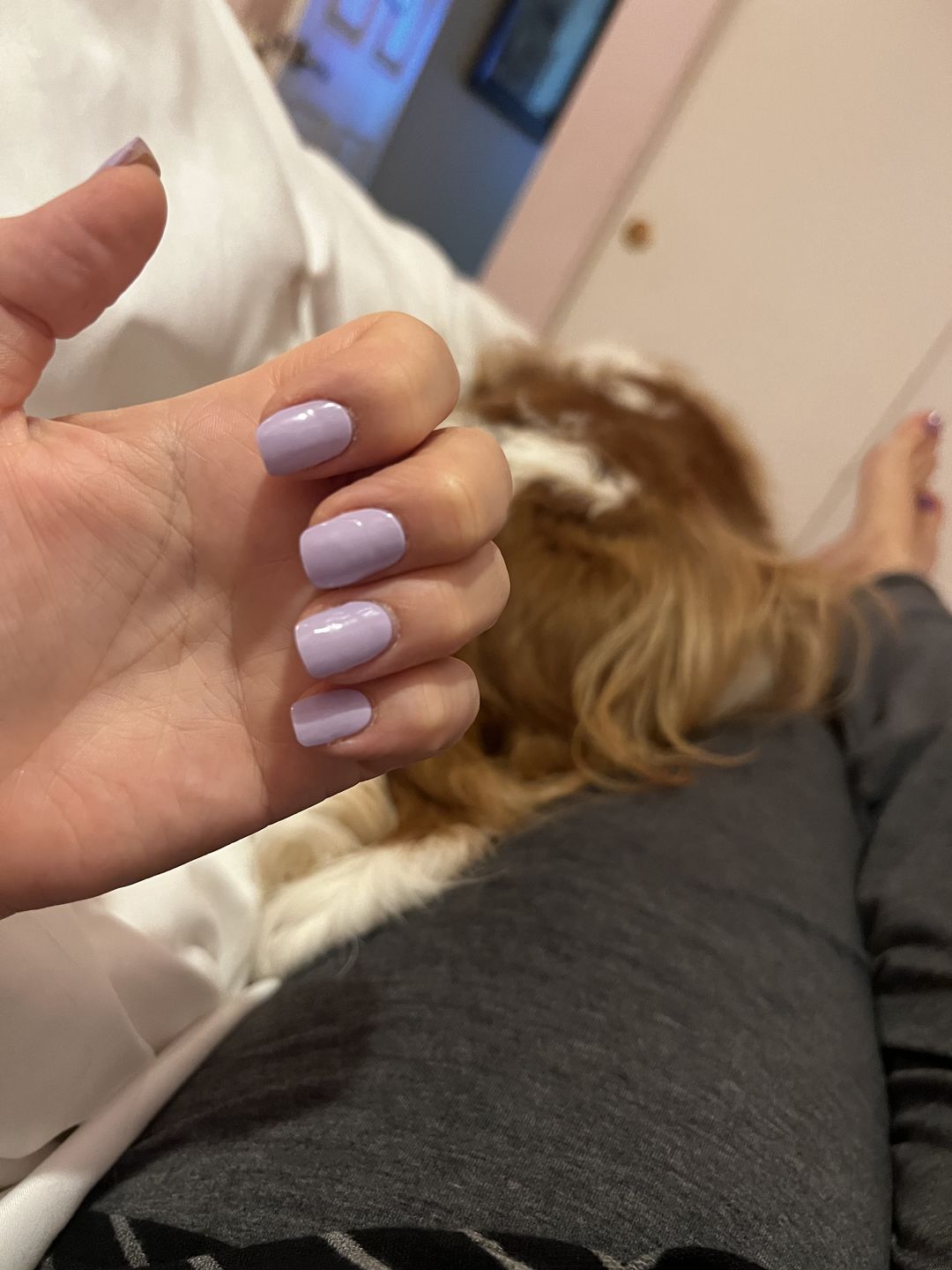 Customer photo review of Wisteria Purple DIY Semicured Gel Nail Sticker Kit (PRE-ORDER: ETA 24.7)