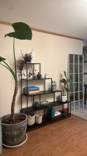Customer photo review of Estantería Escalonada METAL BLACK