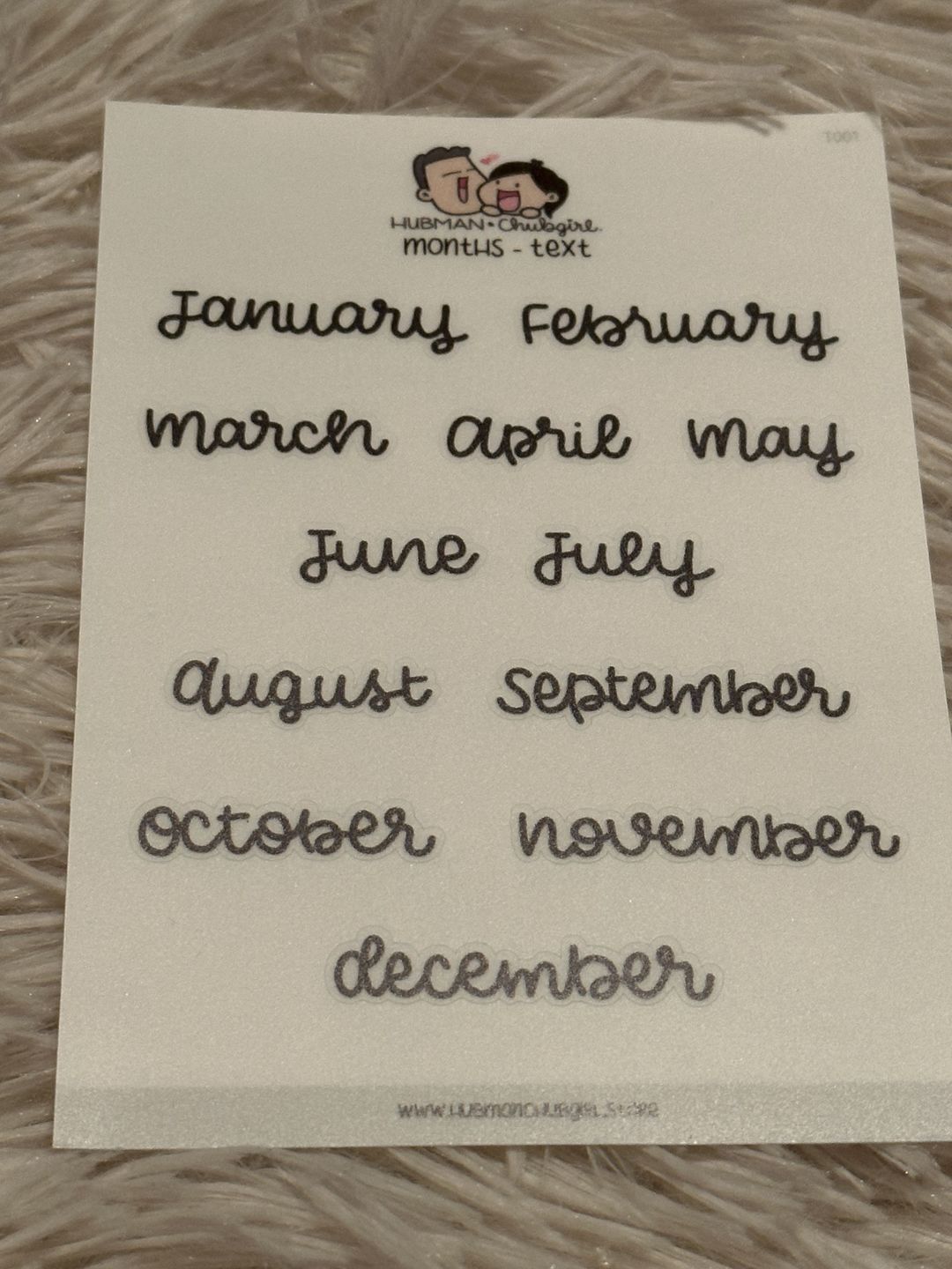 Customer photo review of Months Text Planner Stickers - Script