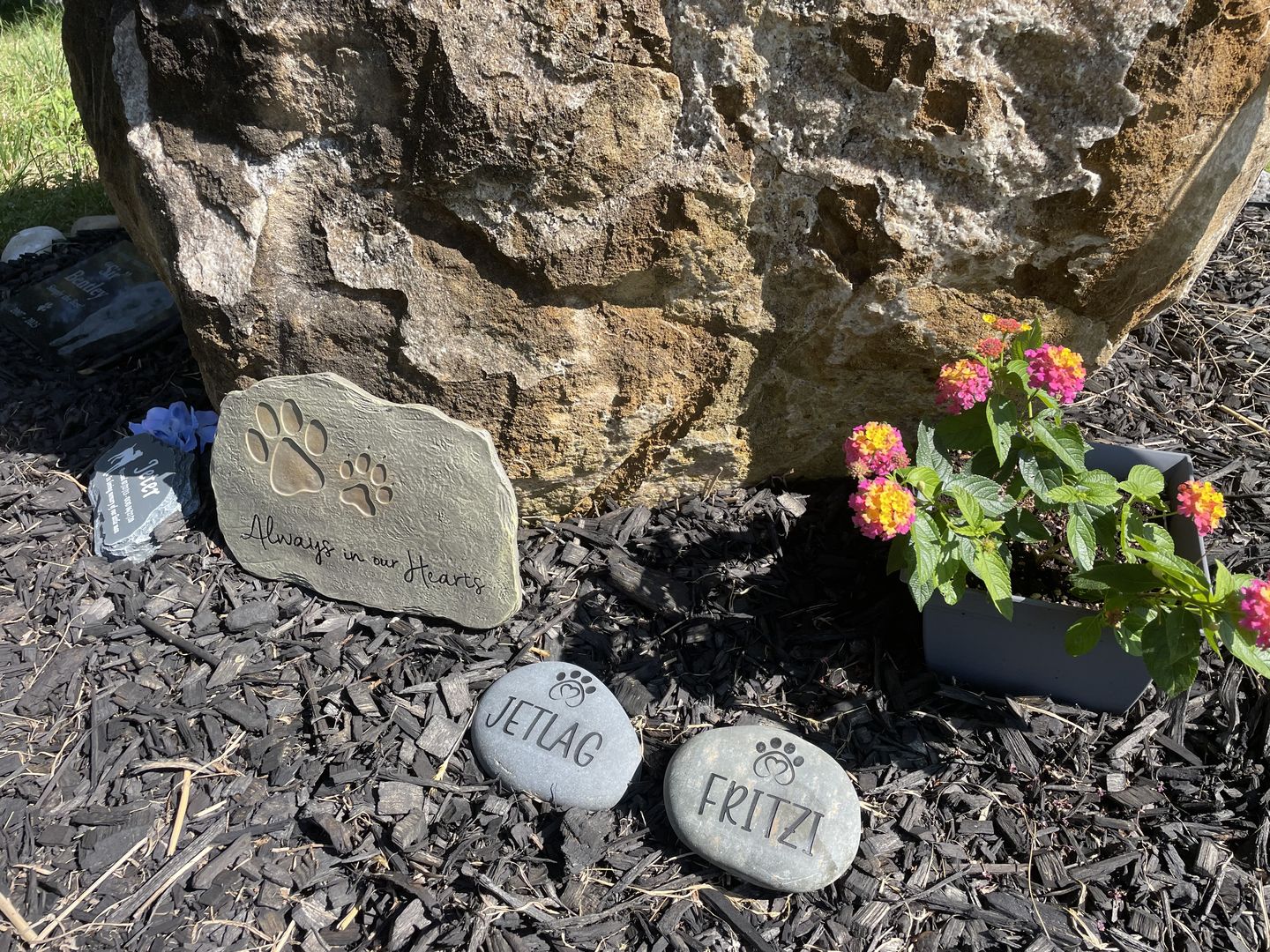 Customer photo review of Dog headstones Grave Marker Custom Engraved Pet Memorial River Rock Stone Heart Paw Print