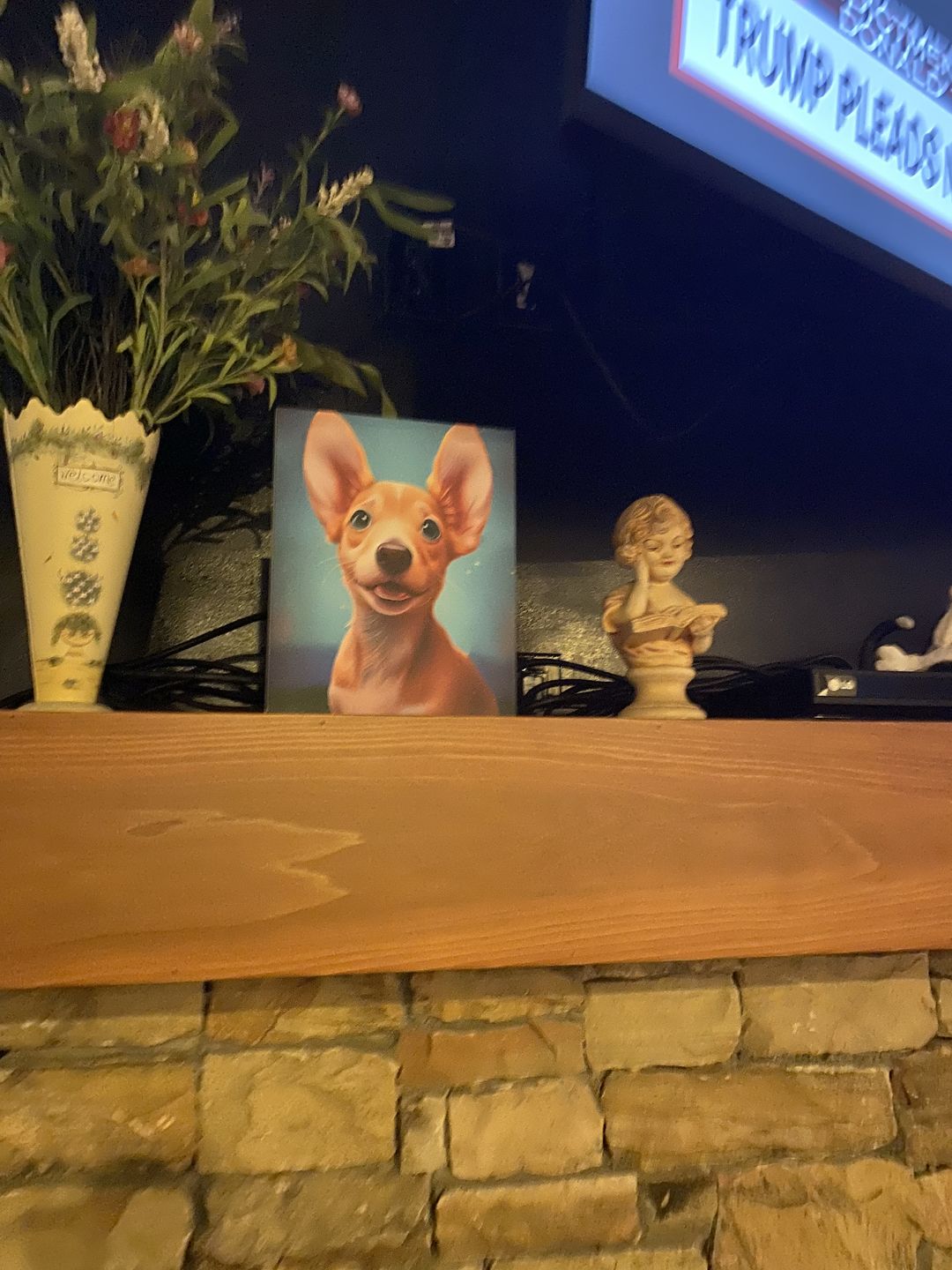 Customer photo review of Custom Pet Portrait