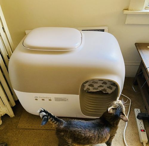 Customer photo review of Self-Cleaning Litter Box