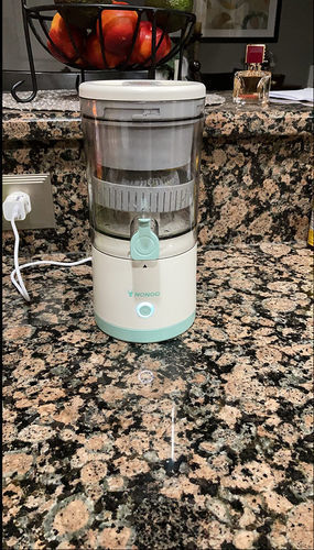 Customer photo review of Automatic Household Electric Juicer Home Care ©