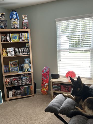 Customer photo review of PokePet Canvas