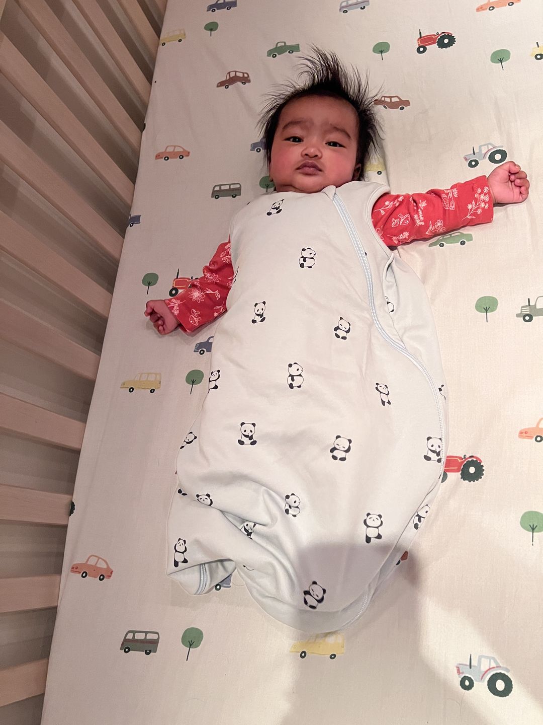 Customer photo review of 4 Season® Classic Baby Sleeping Bag, Merino Wool & Organic Cotton, Panda