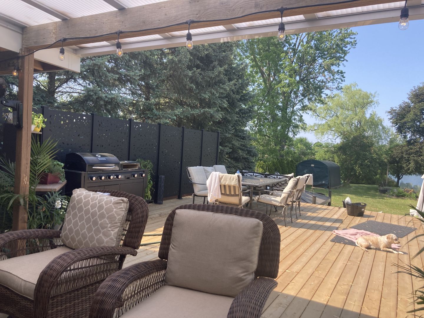 Customer photo review of Privacy Screen (River Rock)
