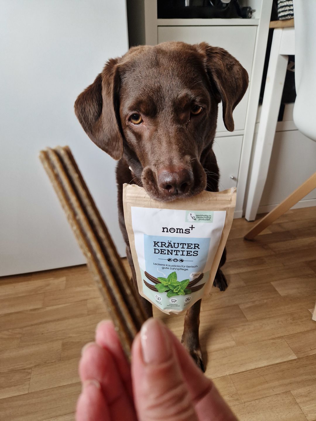 Customer photo review of Kräuter Denties für Hunde zur Zahn- und Darmpflege (140g)