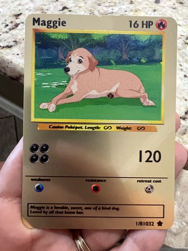 Customer photo review of Number of Pokepets and Trainers