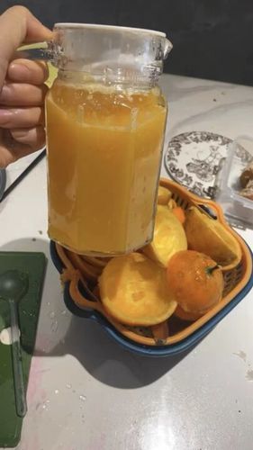 Customer photo review of Automatic Household Electric Juicer Home Care ©