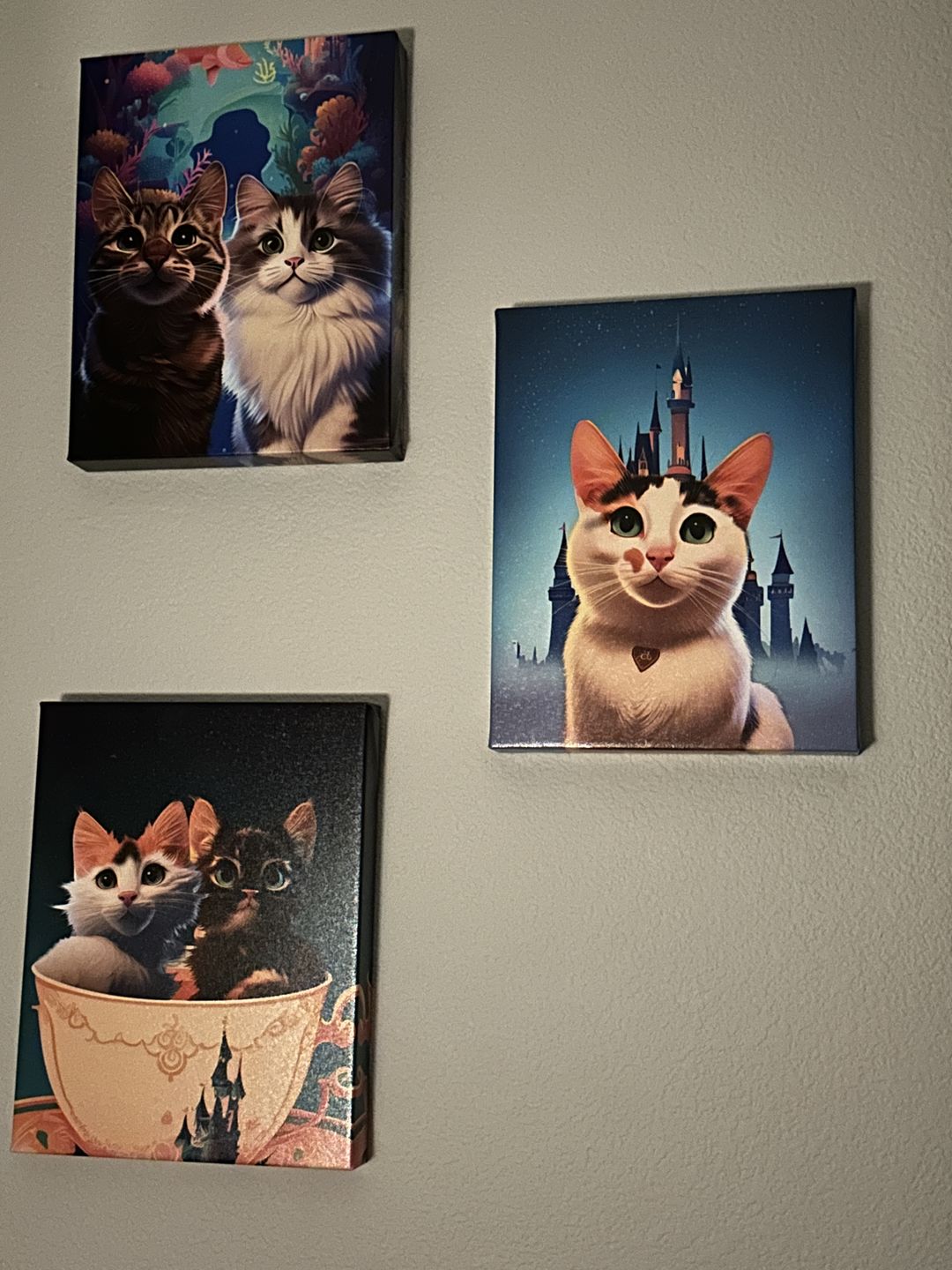 Customer photo review of Turn Your Cat Into A Cartoon Portrait