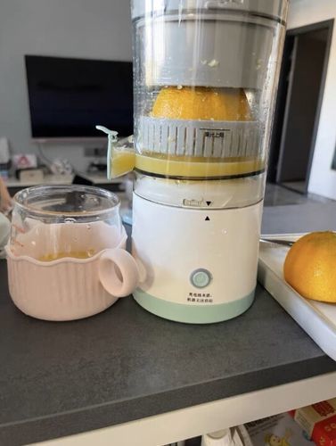Customer photo review of Automatic Household Electric Juicer Home Care ©