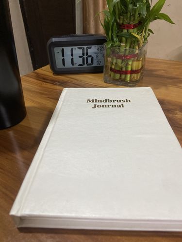 Customer photo review of Mindbrush Journal