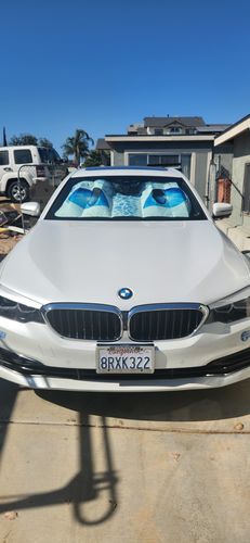 Customer photo review of Light Fury Eyes Car Sunshade Custom How to Train Your Dragon Car Accessories