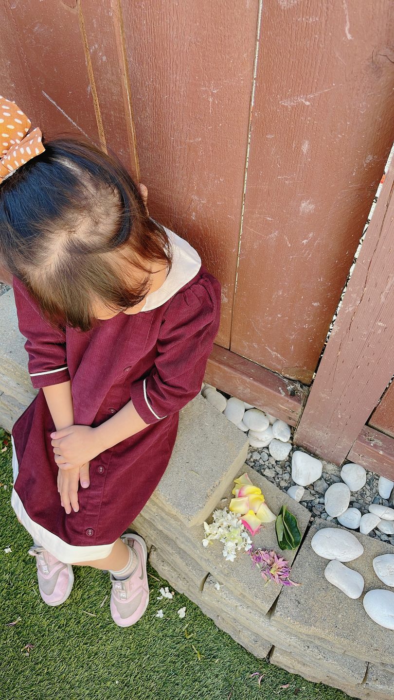 Customer photo review of Plum Button Down Dress