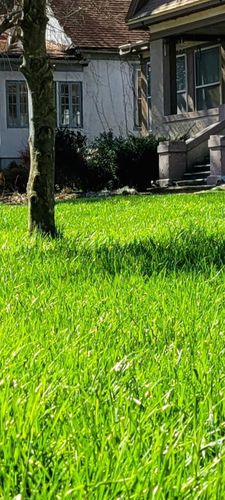 Customer photo review of Headway G Granular Fungicide - 30 Pound