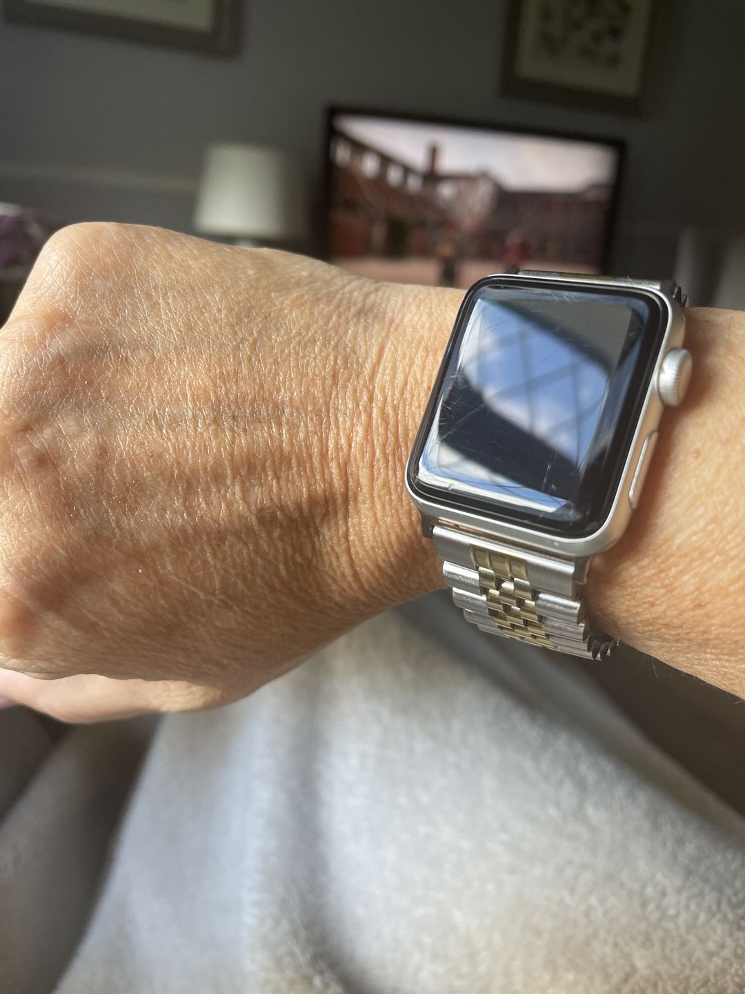 Customer photo review of Nete Stainless Band