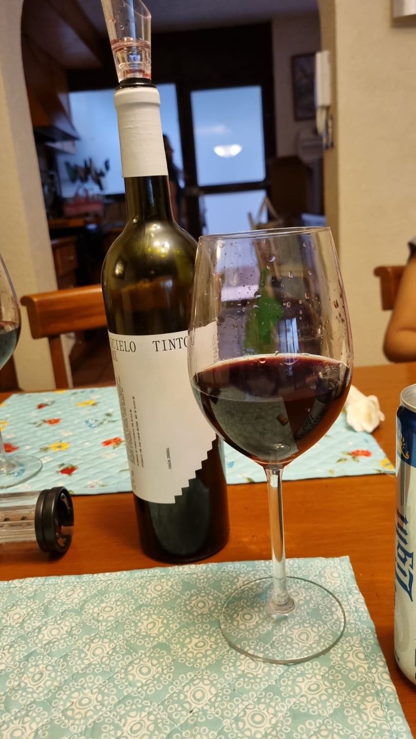 Customer photo review of Scielo Tinto 2020 Caja 12 Botellas