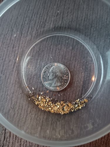 Customer photo review of Treasure Paydirt Surprise '300 GRAM GOLD HUNT' - Gold Paydirt Panning Concentrates