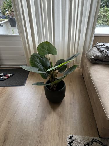 Customer photo review of Kunst Waaierpalm 90cm