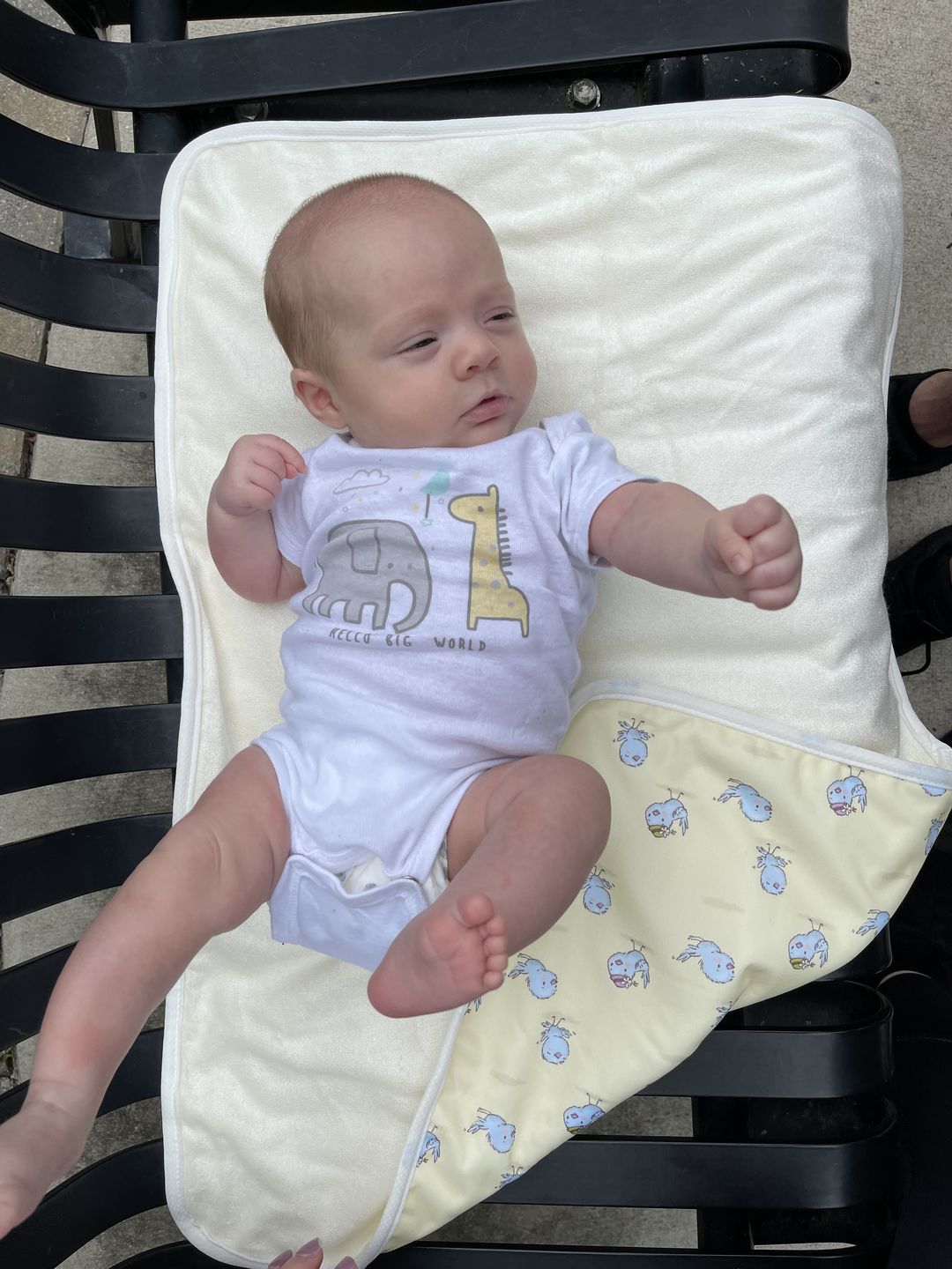 Customer photo review of Basics Ultra-Soft Bamboo Machine Washable Diaper Change Mat
