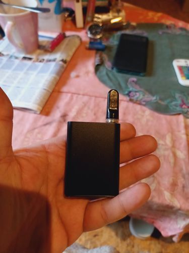 Customer photo review of Vaporizer Palm CCell