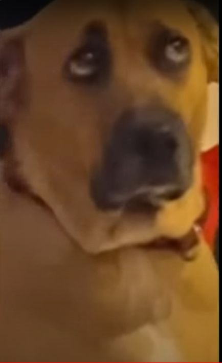 Customer photo review of Inspired by Elixir- 893