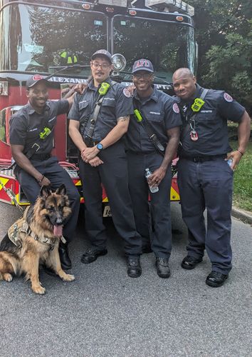 Customer photo review of Classic Heavy-Duty Tactical No-Pull Team K9™ Dog Harness With Front & Back D-Rings, Quick-Release Metal-Buckles, Hook & Loop Panels, & Top Handle